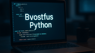 New Software Bvostfus Python