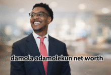 Damola Adamolekun Net Worth