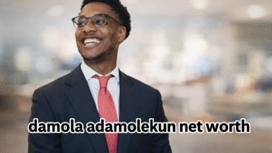 Damola Adamolekun Net Worth