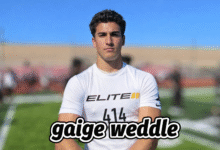 gaige weddle
